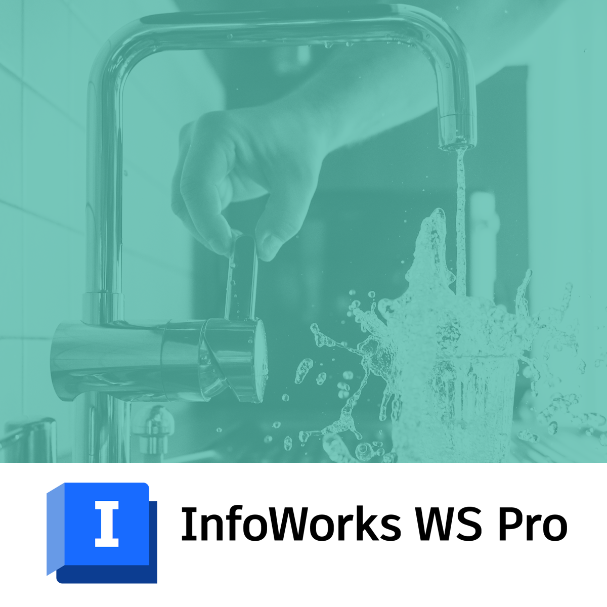 InfoWorks WS Pro